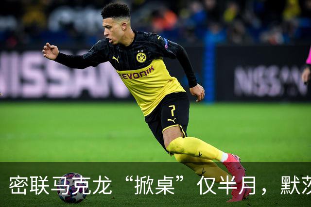 密联马克龙“掀桌”仅半月，默茨突然改口：德国不想与中国打贸易战