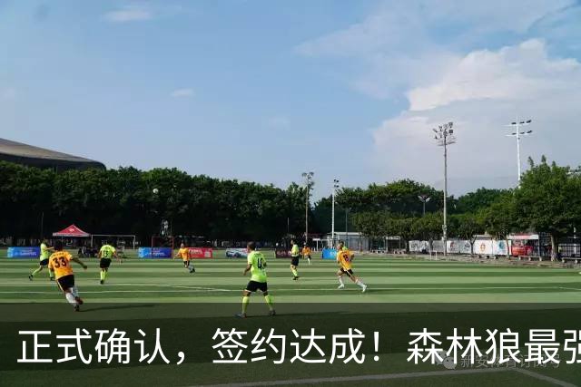 正式确认，签约达成！森林狼最强五巨头诞生，西部格局再起悬念