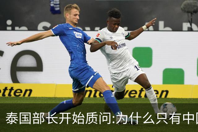 泰国部长开始质问:为什么只有中国游客出事？国人该情何以堪...
