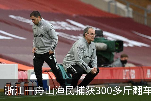 浙江一舟山渔民捕获300多斤翻车鱼，已放归大海