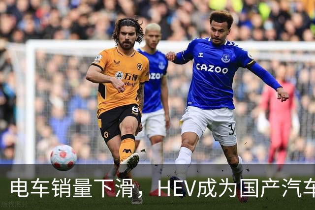 电车销量下滑，HEV成为国产汽车增长发动机，继续挑战丰田